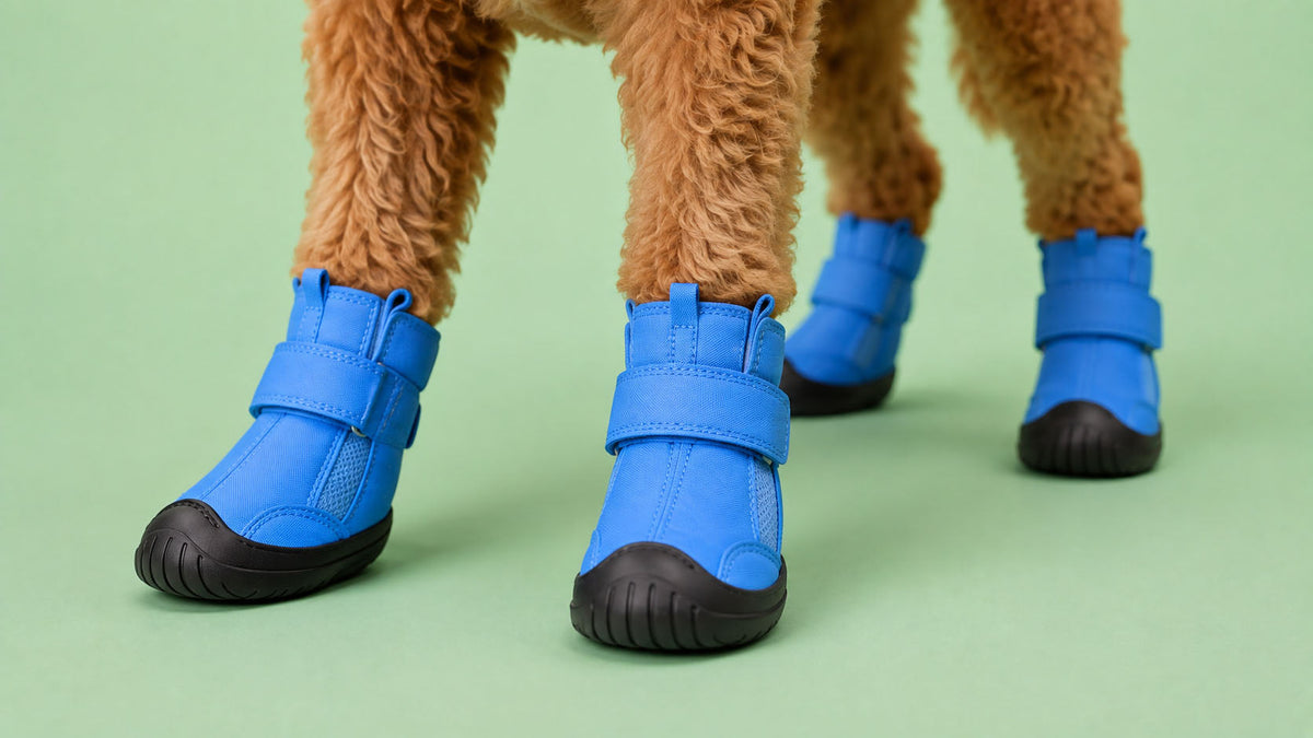 Botas para Cão