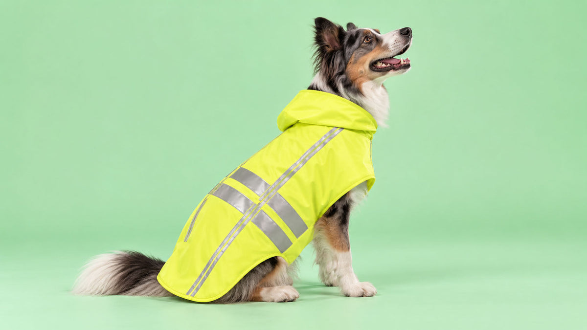 Coletes Refletores para Cão
