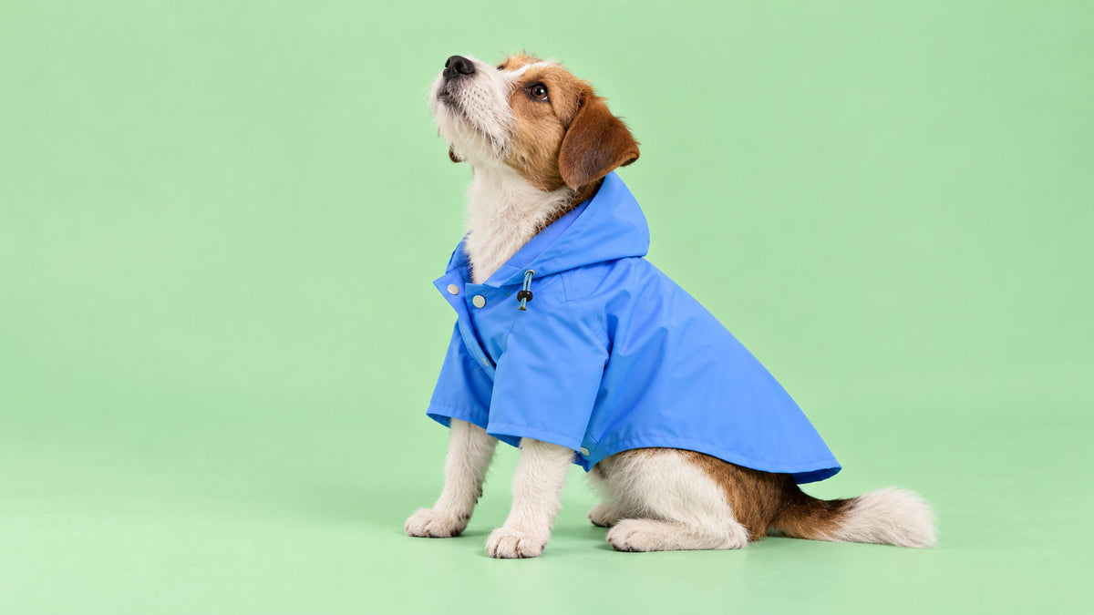 Impermeáveis para Cão