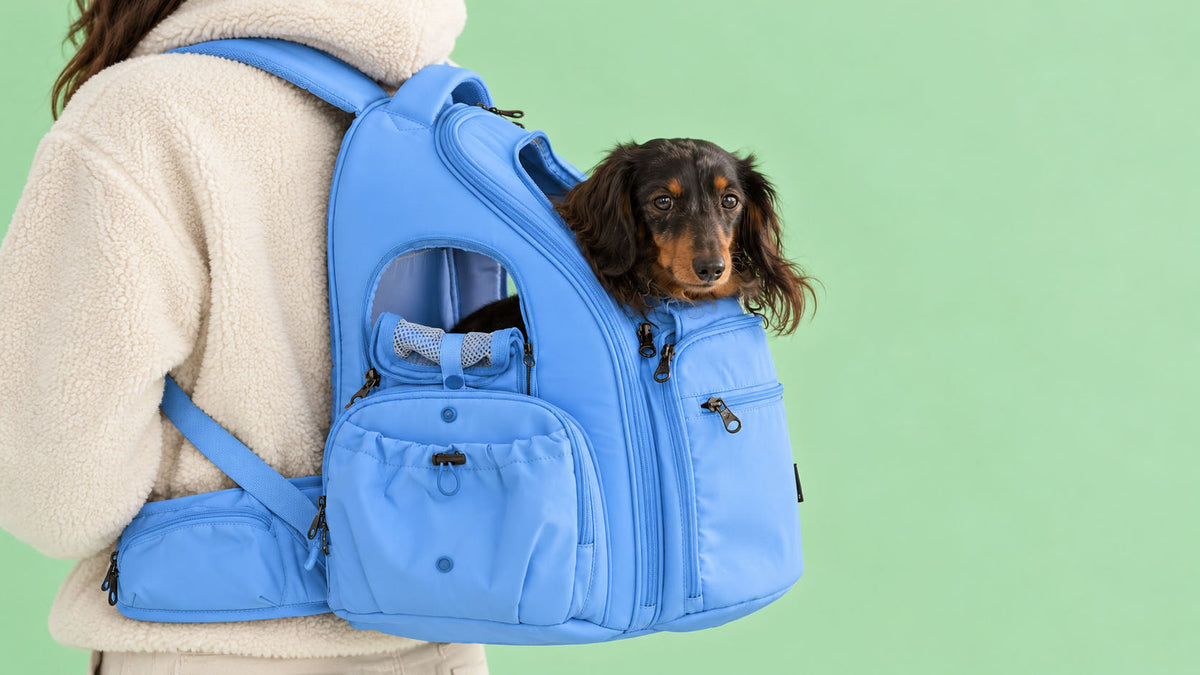 Mochilas de Transporte para Cão