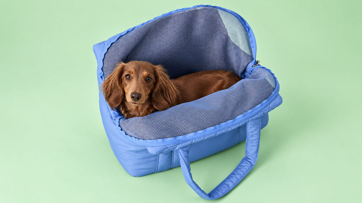 Sacos de Transporte para Cão