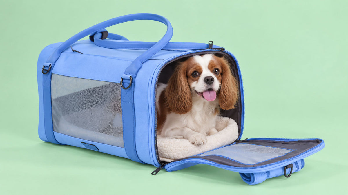 Transportadoras para Cão
