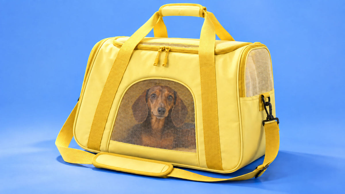 Acessórios de Transporte para Cão