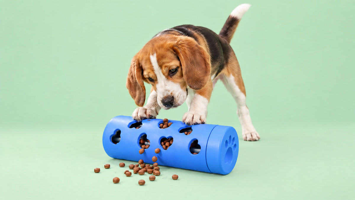 Brinquedos de Estimulação Mental para Cão
