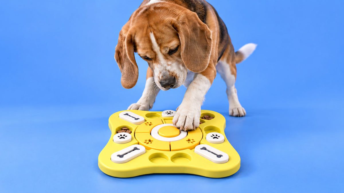 Brinquedos por Finalidade para Cão