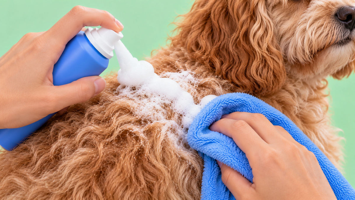 Champôs Secos para Cão