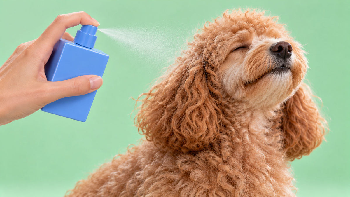 Perfumes e Desodorizantes para Cão