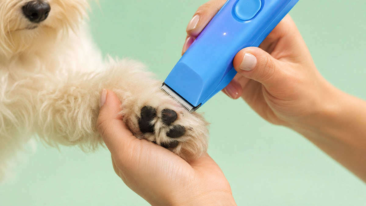 Máquinas de Tosquia para Cão