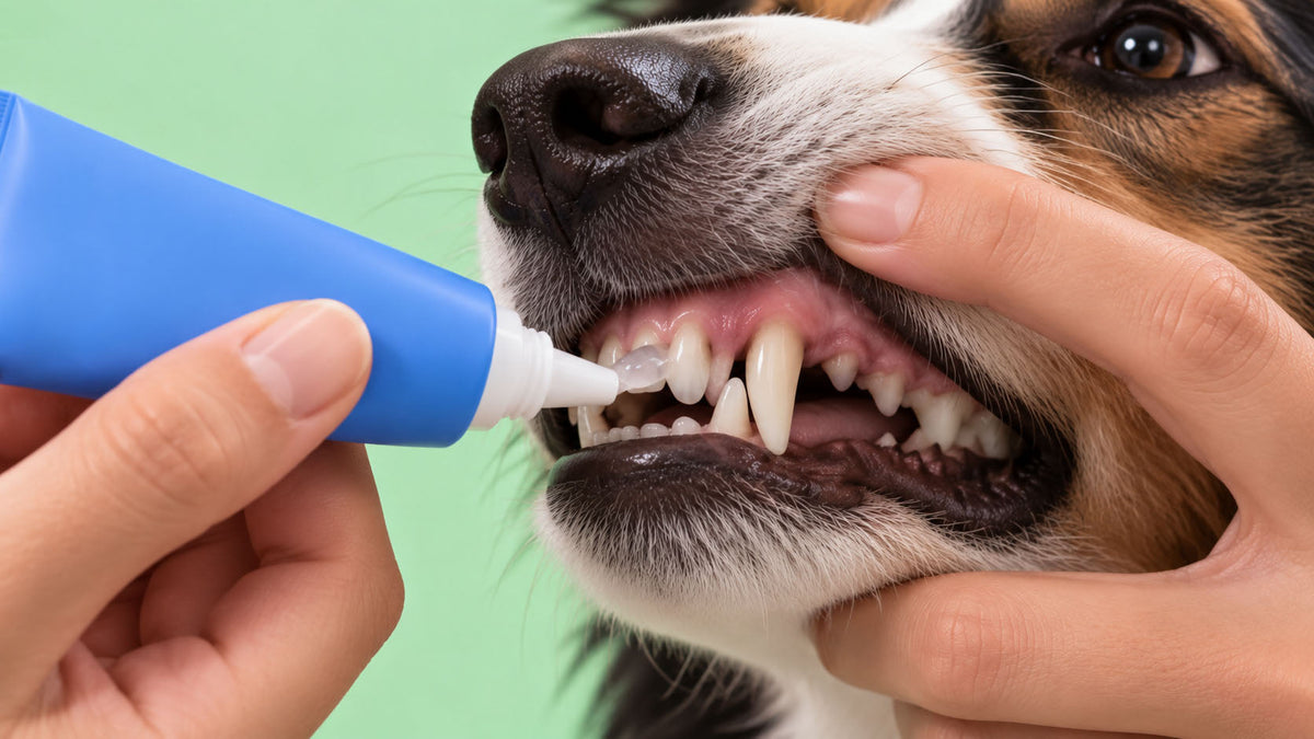 Gel de Higiene Oral para Cão