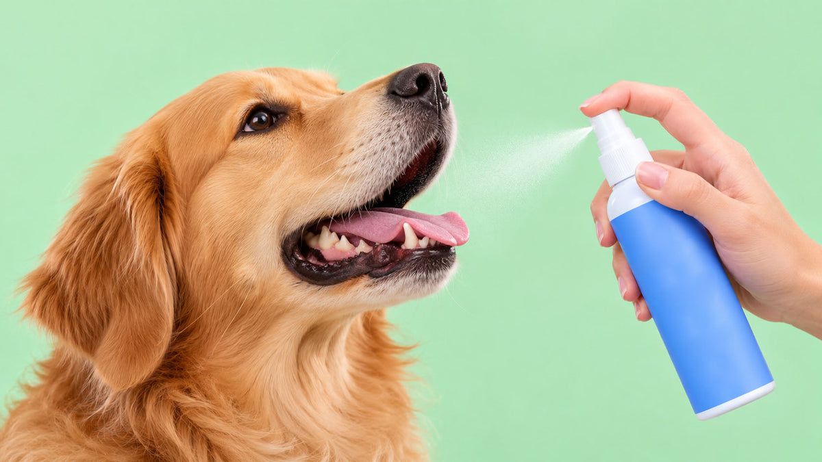 Spray de Higiene Oral para Cão