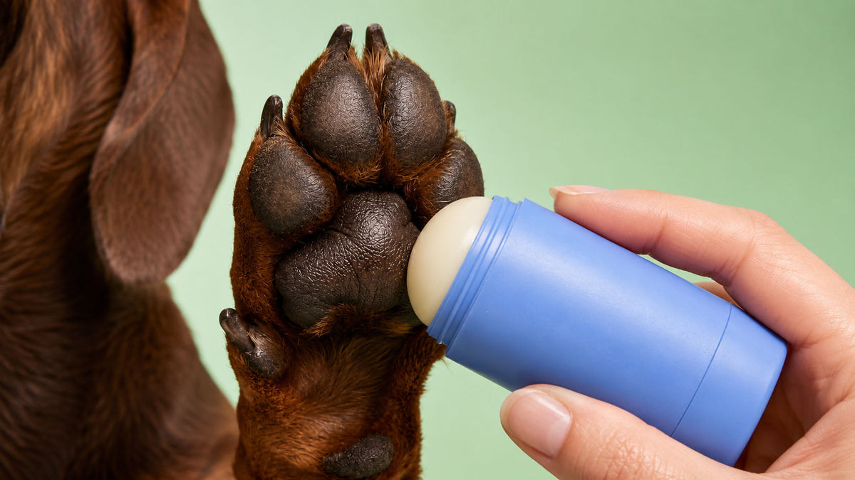 Bálsamos e Cremes para Patas de Cão