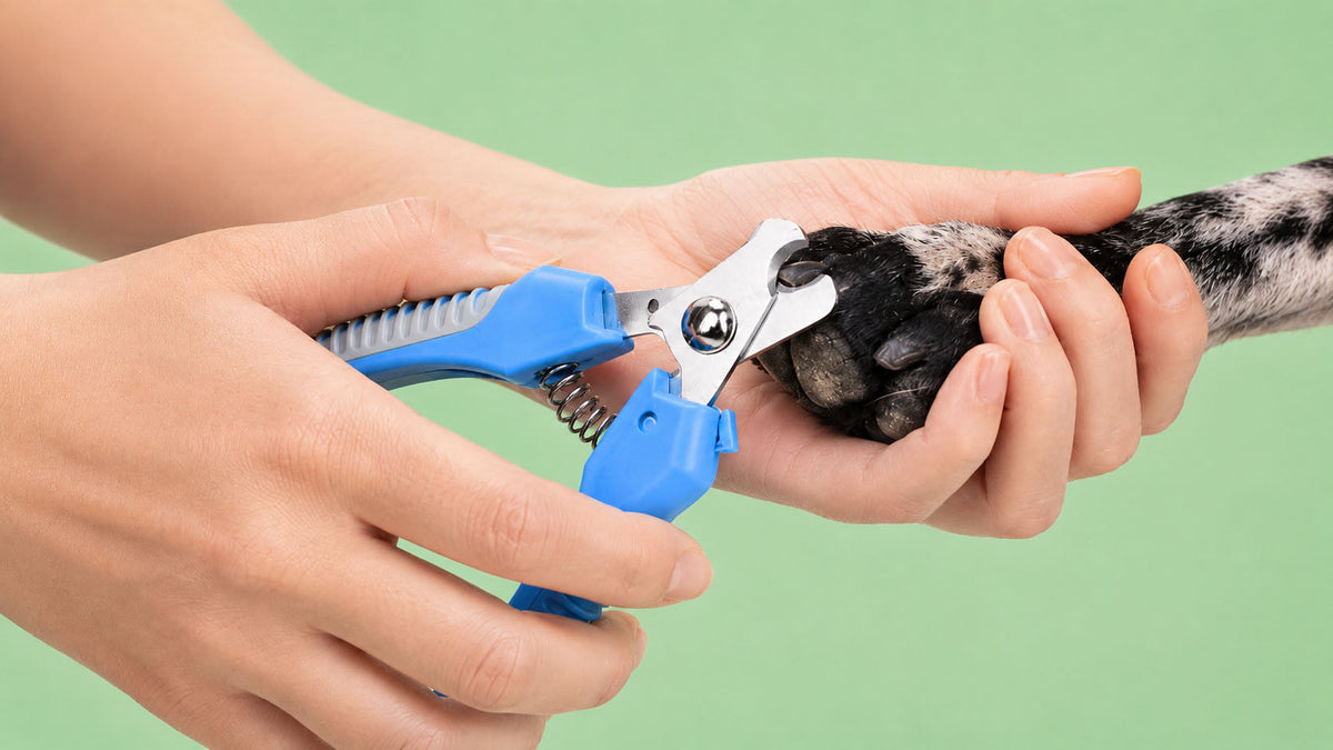 Corta-unhas para Cão