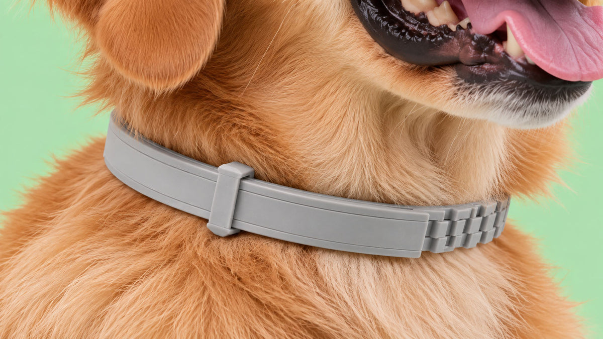 Coleiras Antiparasitárias para Cão