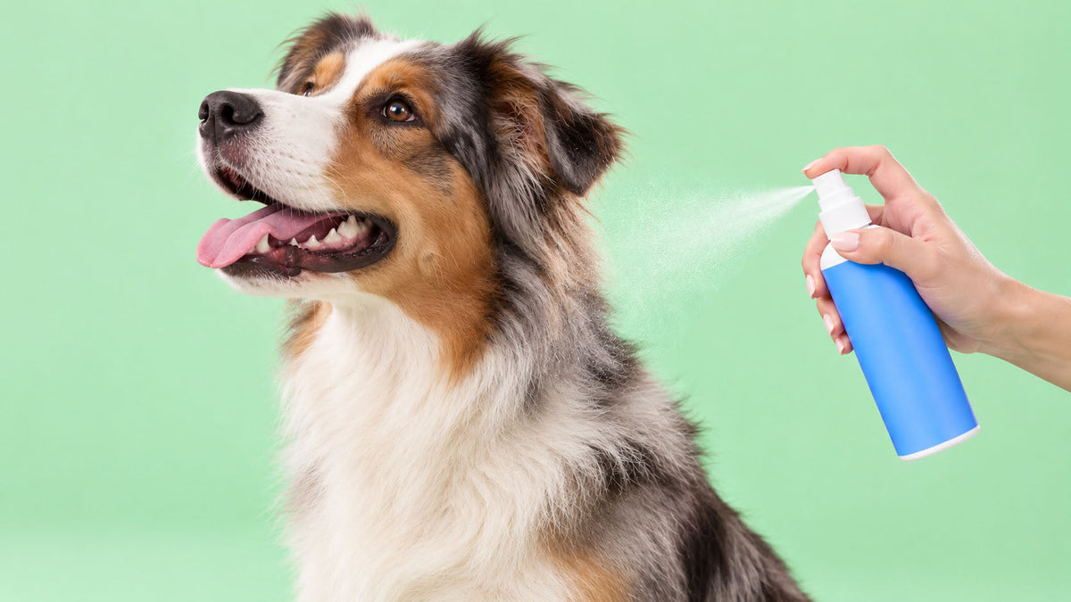 Sprays de Saúde e Bem-estar para Cão