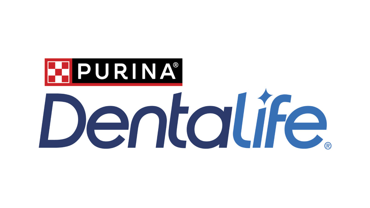 Dentalife