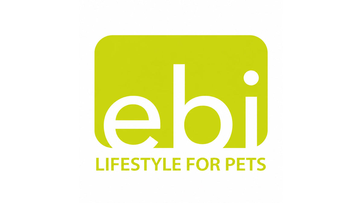 Ebi