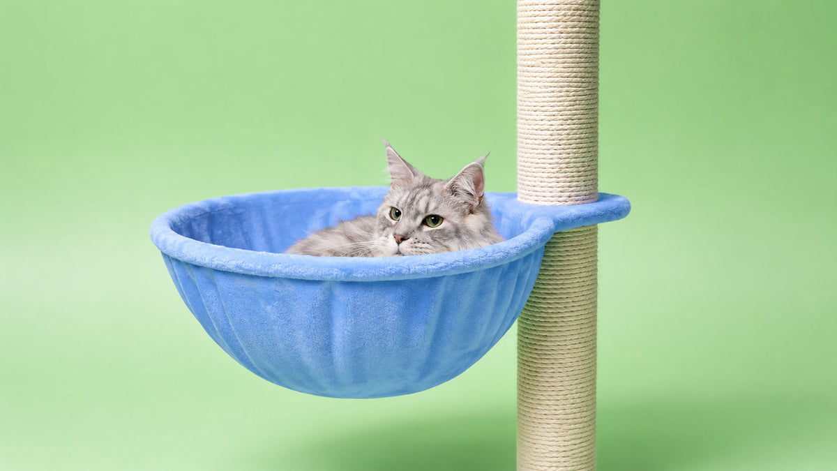 Acessórios para Arranhadores de Gato