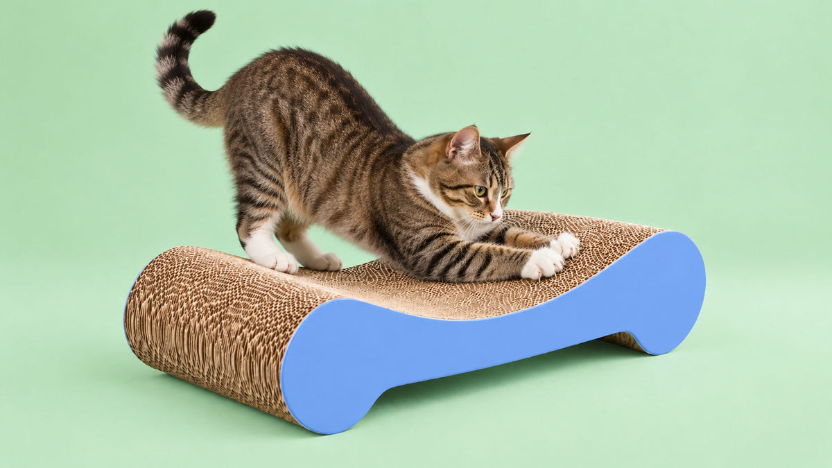 Arranhadores de Cartão e Ondulados para Gato