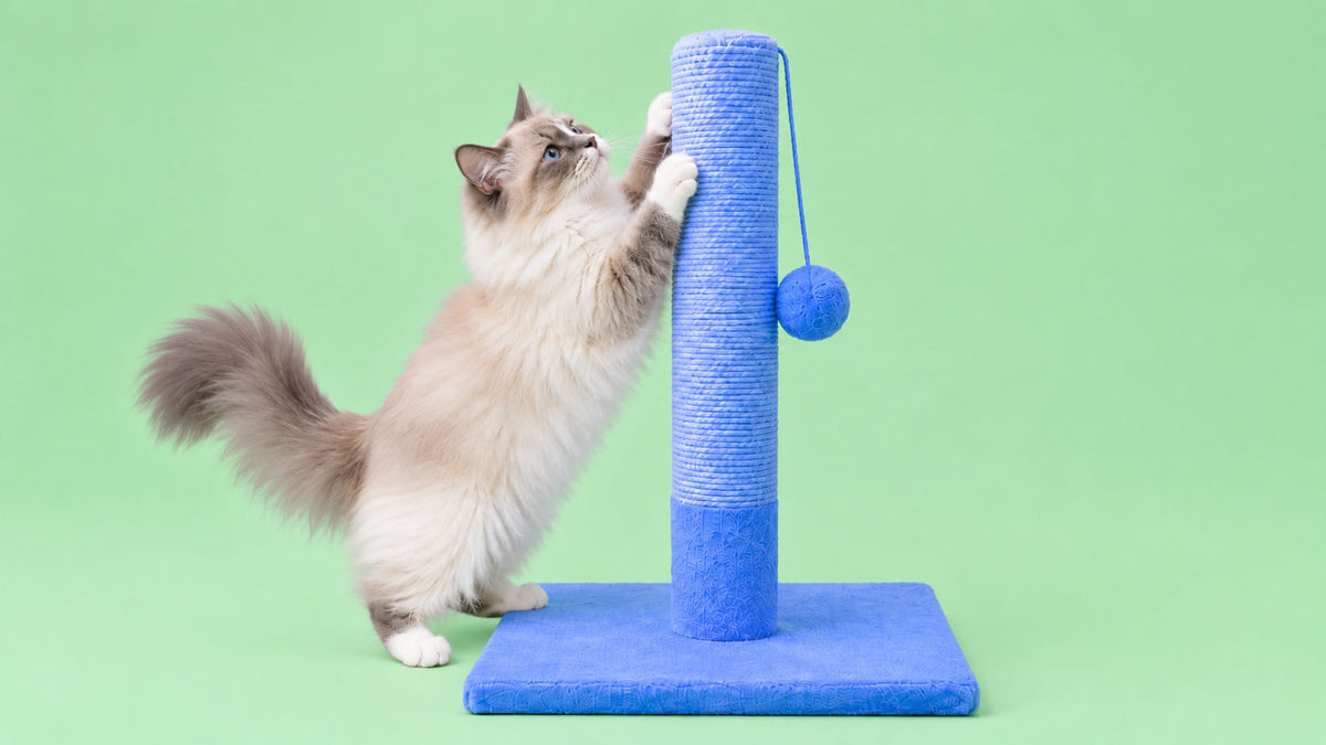 Postes Arranhadores para Gato