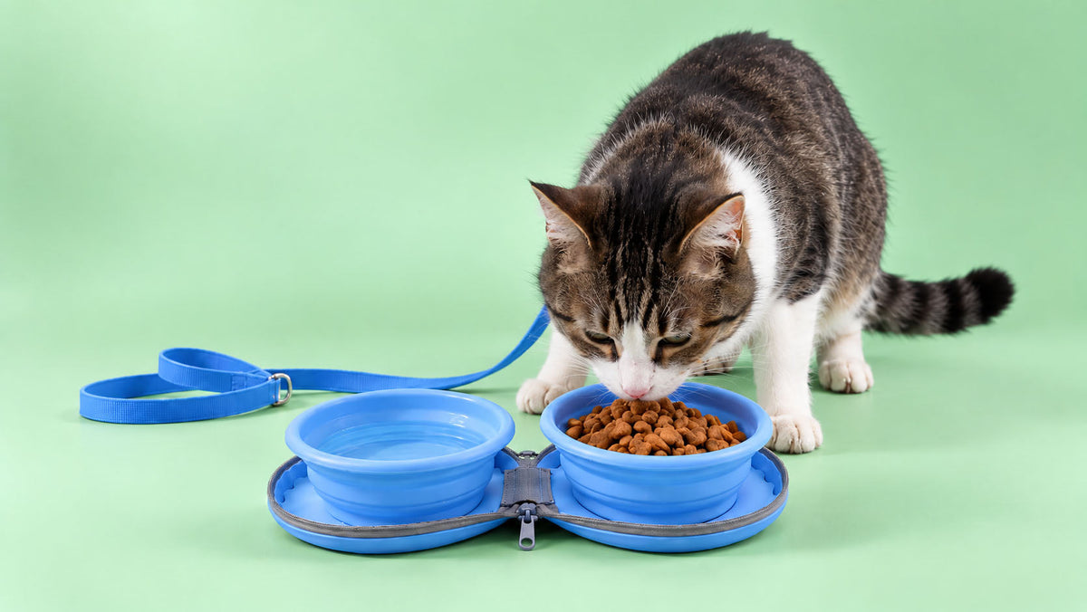 Comedouros de Viagem para Gato