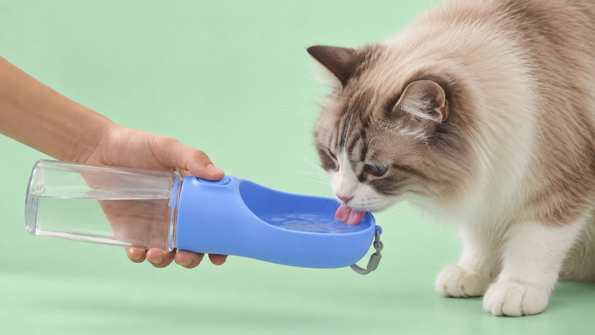 Garrafas Portáteis para Gato
