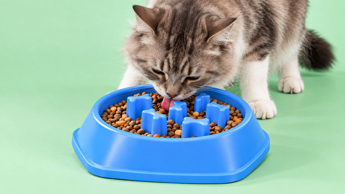 Comedouros de Ingestão Lenta para Gato