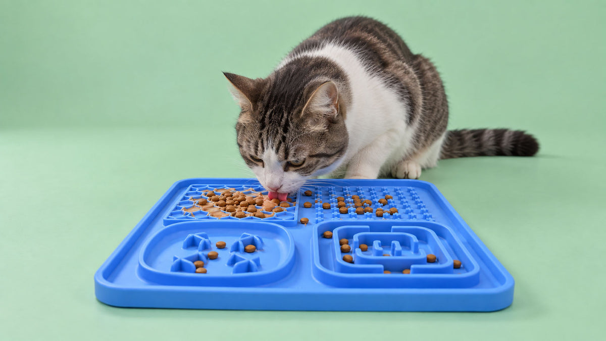 Tabuleiros para Gato