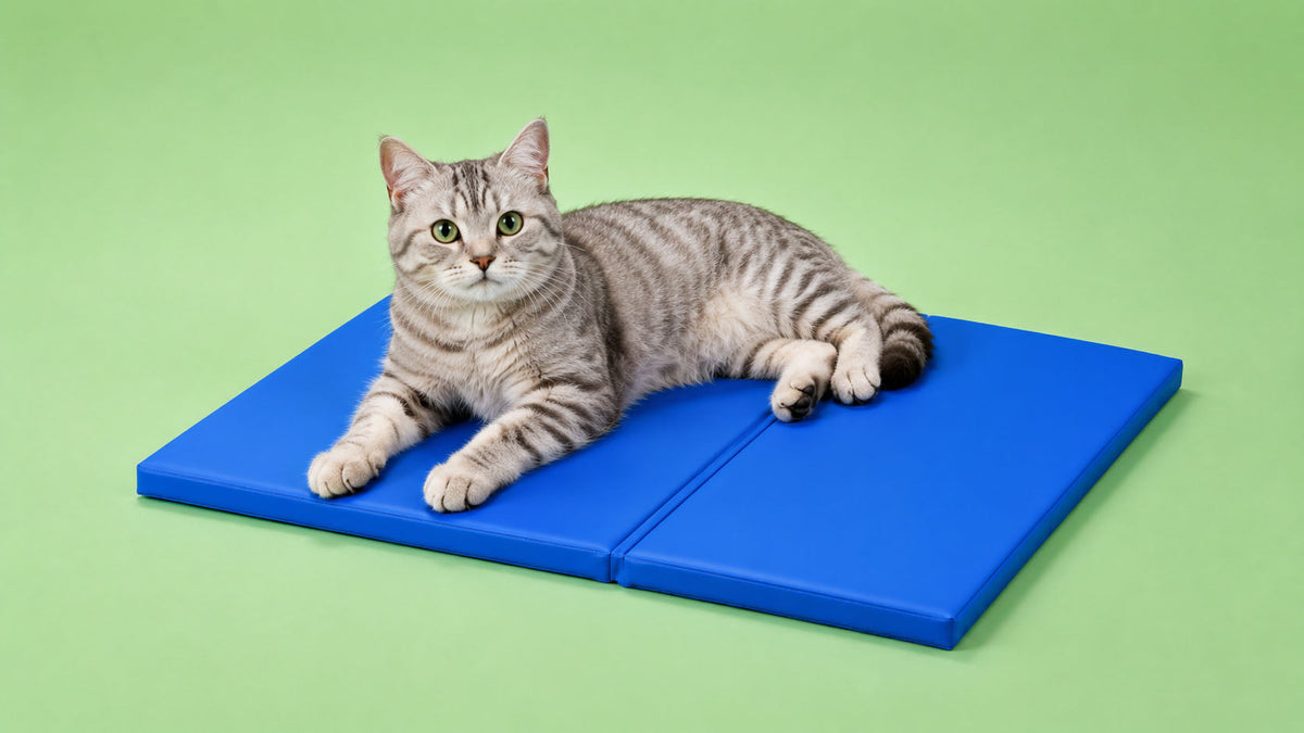 Acessórios Refrescantes para Gato