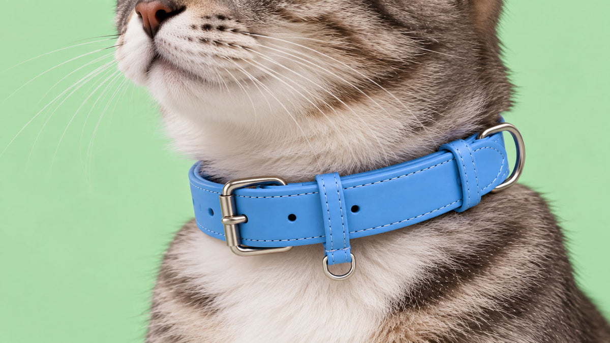 Coleiras para Gato