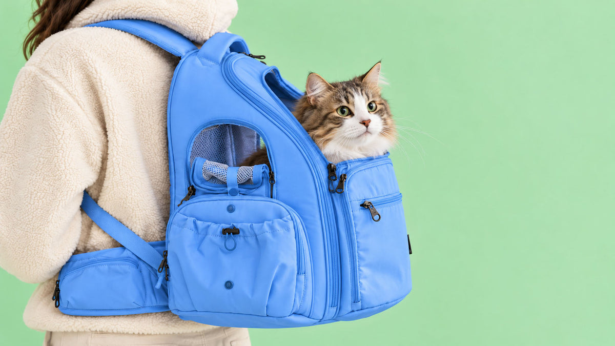 Mochilas de Transporte para Gato