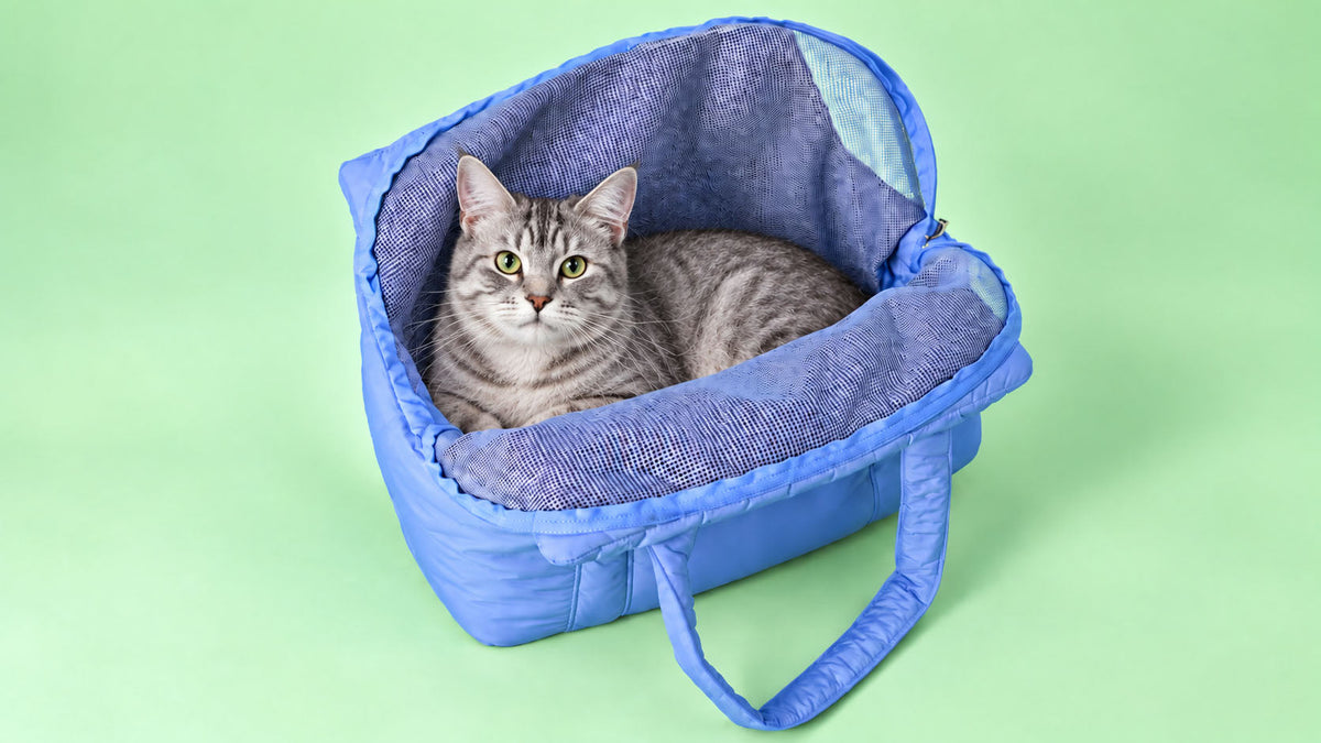 Sacos de Transporte para Gato