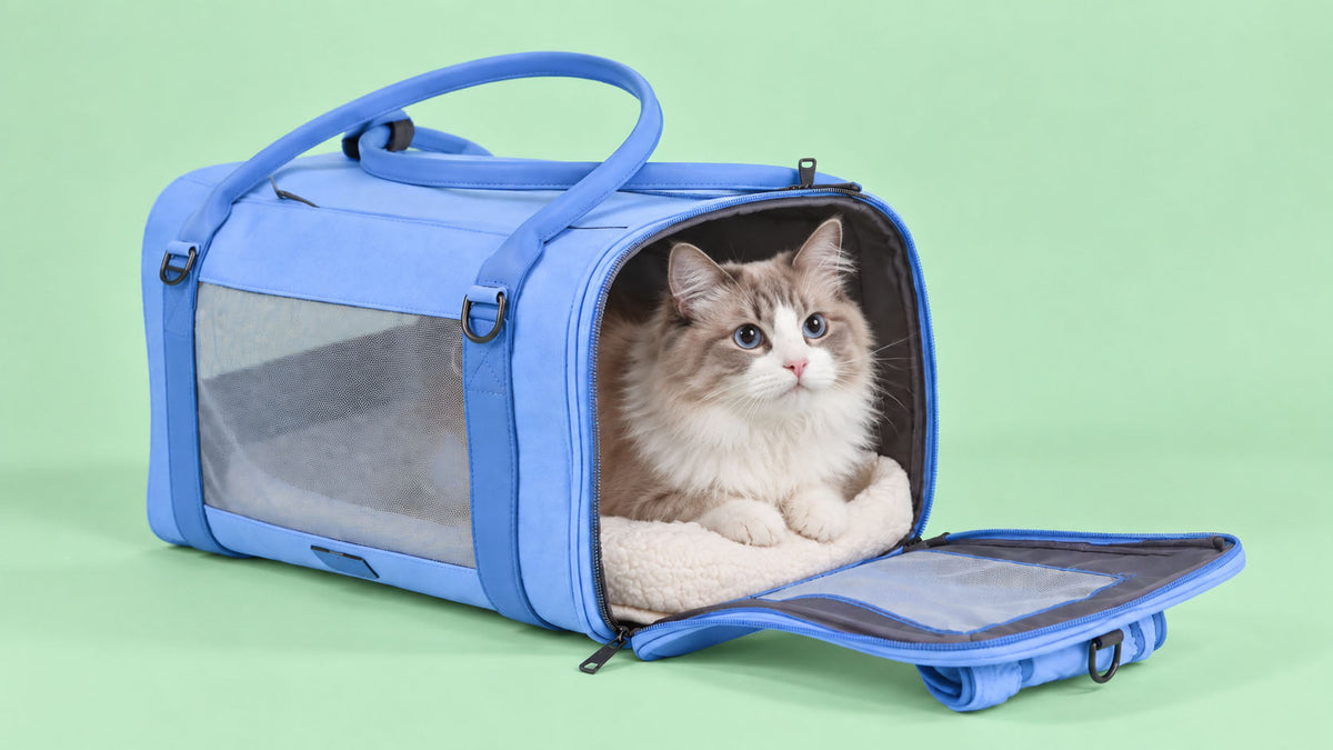 Transportadoras para Gato
