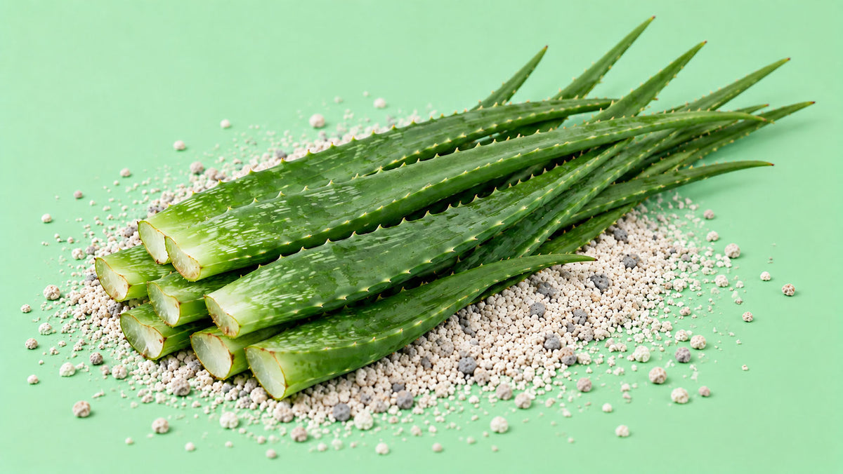Areia com Aroma a Aloe Vera para Gato