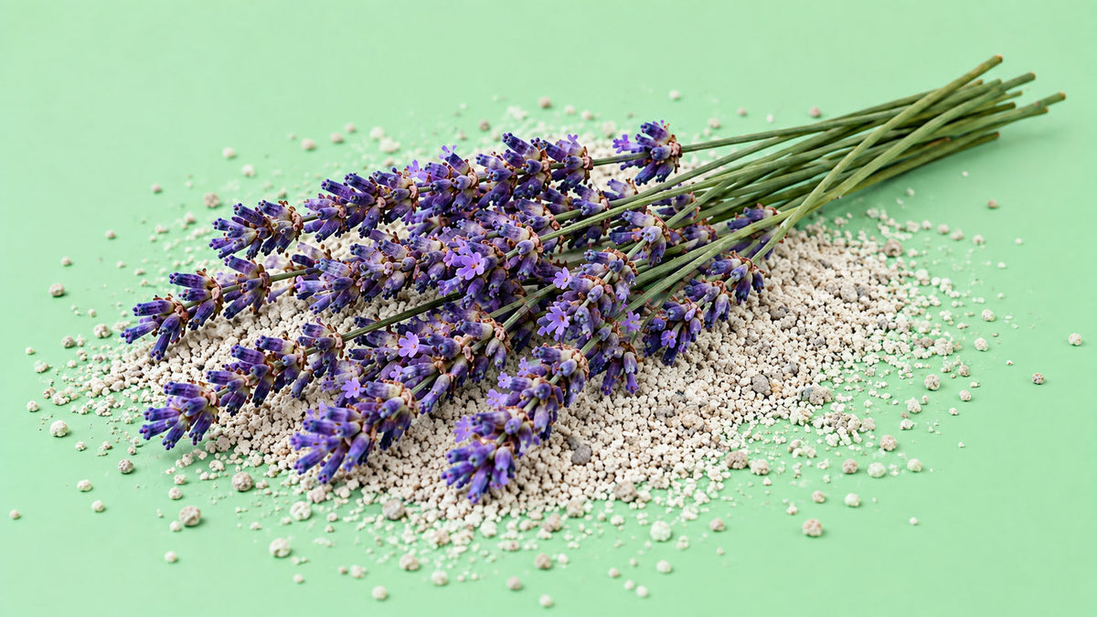 Areia com Aroma a Lavanda para Gato