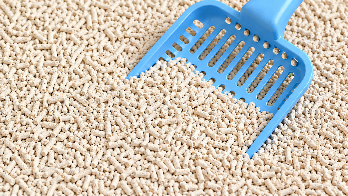 Areia Biodegradável para Gato