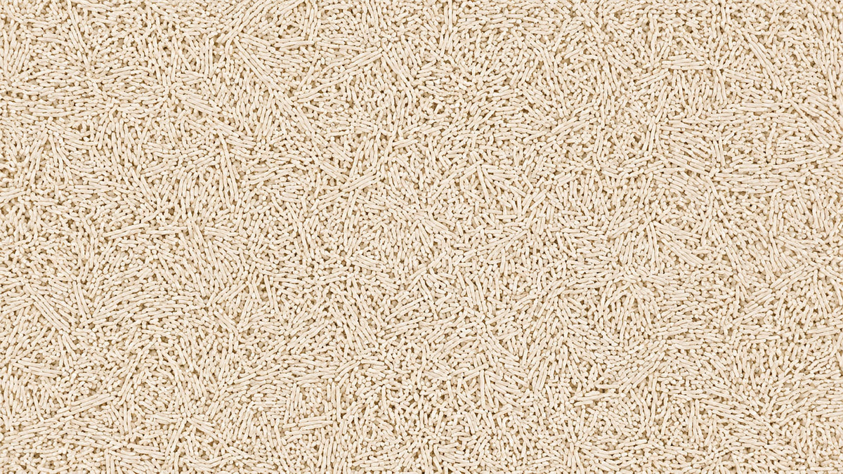 Areia de Tofu para Gato