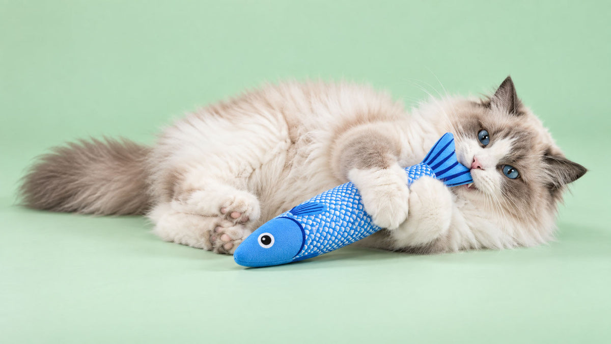 Brinquedos para Alívio do Stress para Gato