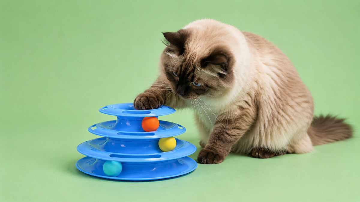 Brinquedos de Estimulação Mental para Gato