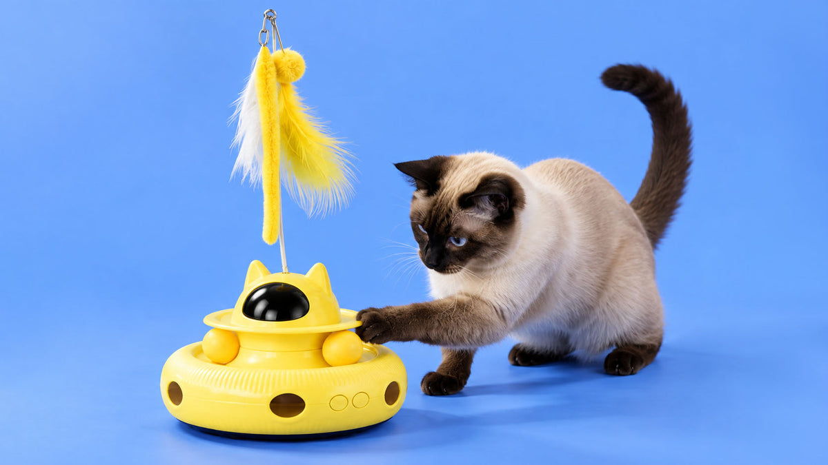 Brinquedos por Finalidade para Gato