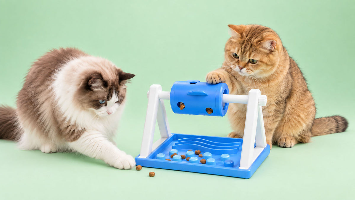 Brinquedos Interativos para Gato
