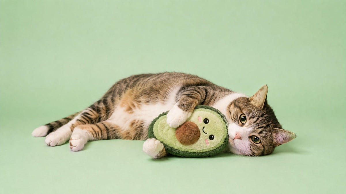 Peluches para Gato