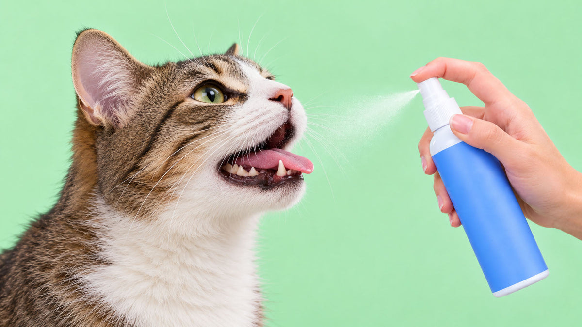 Spray de Higiene Oral para Gato