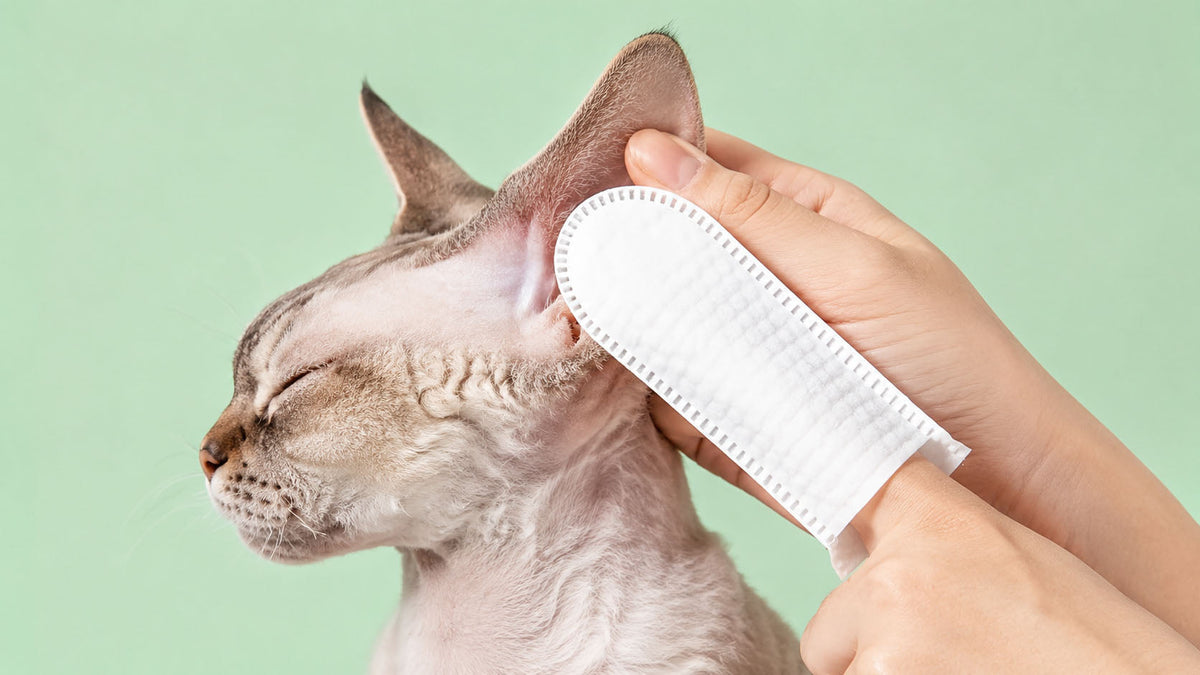 Dedeiras para Olhos e Ouvidos de Gato