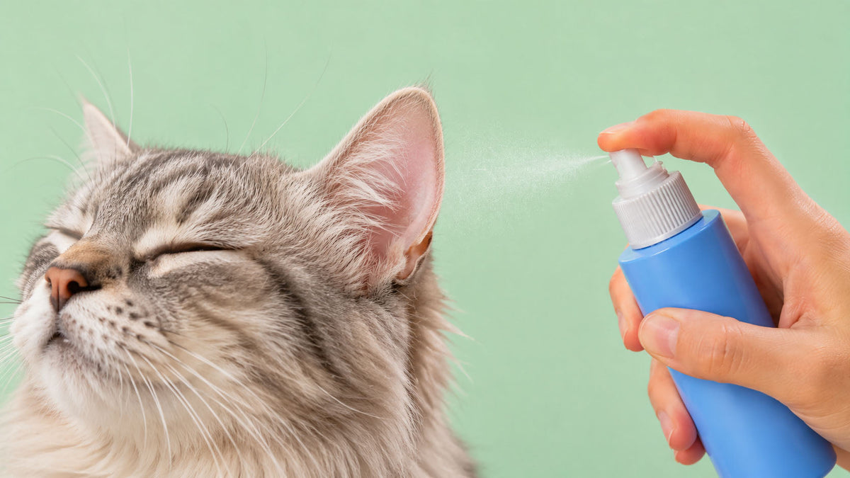 Spray para Olhos e Ouvidos de Gato