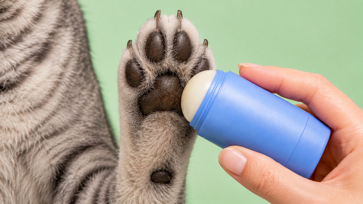 Bálsamos e Cremes para Patas de Gato