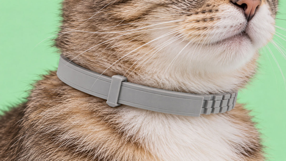 Coleiras Antiparasitárias para Gato