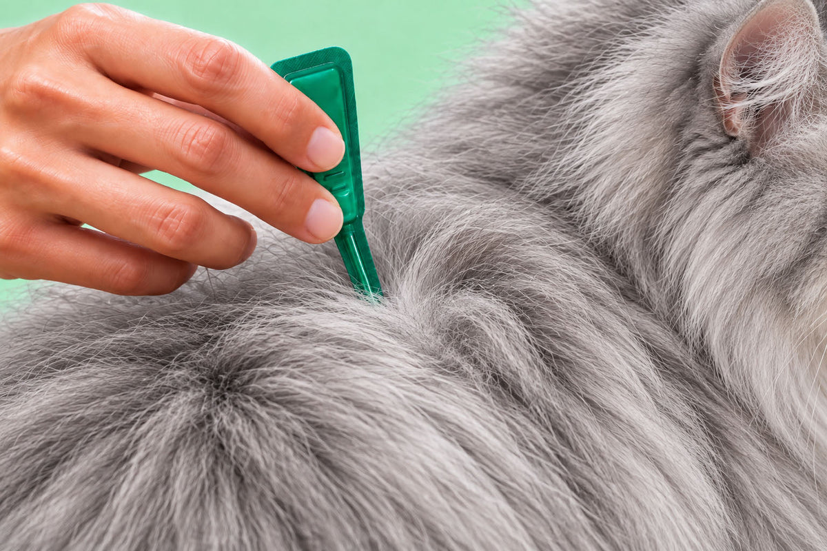 Pipetas Antiparasitárias para Gato