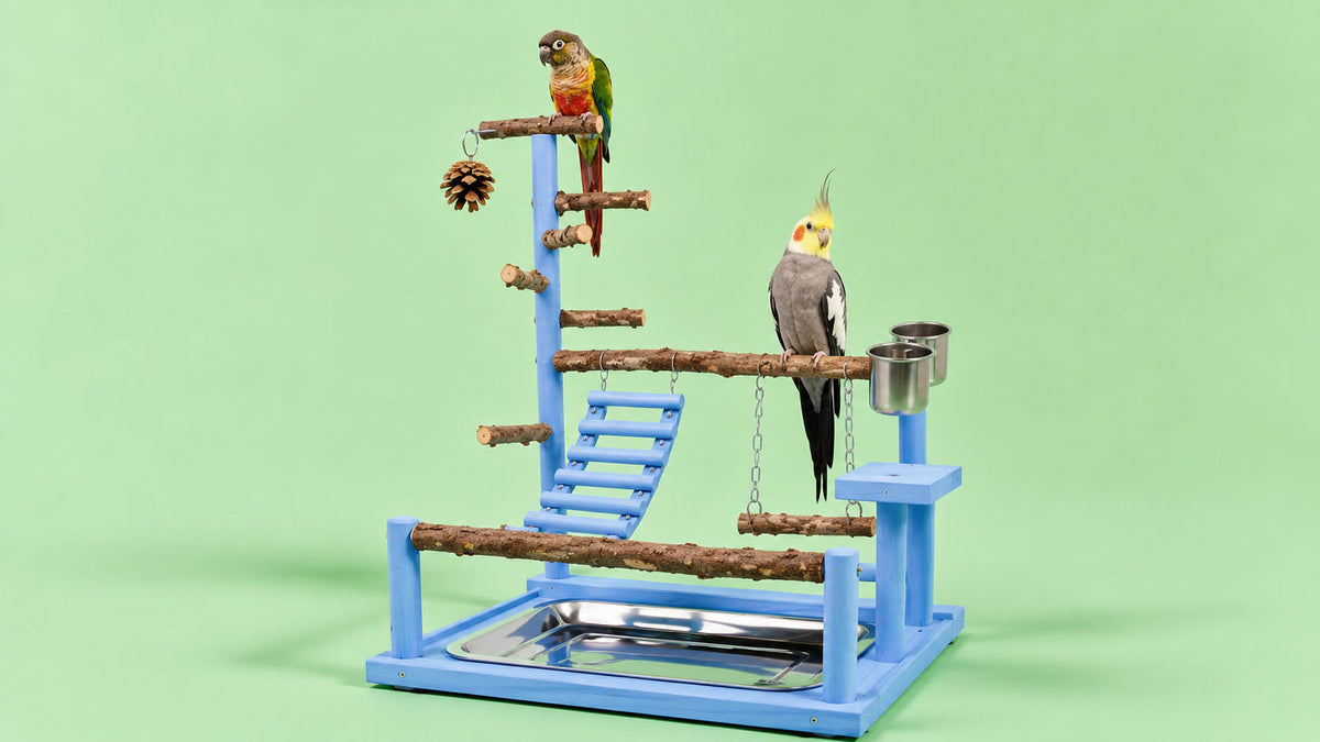 Acessórios para Aves