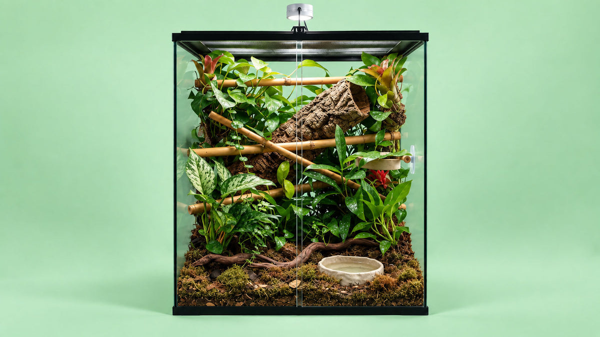 Terrários e Habitats para Répteis