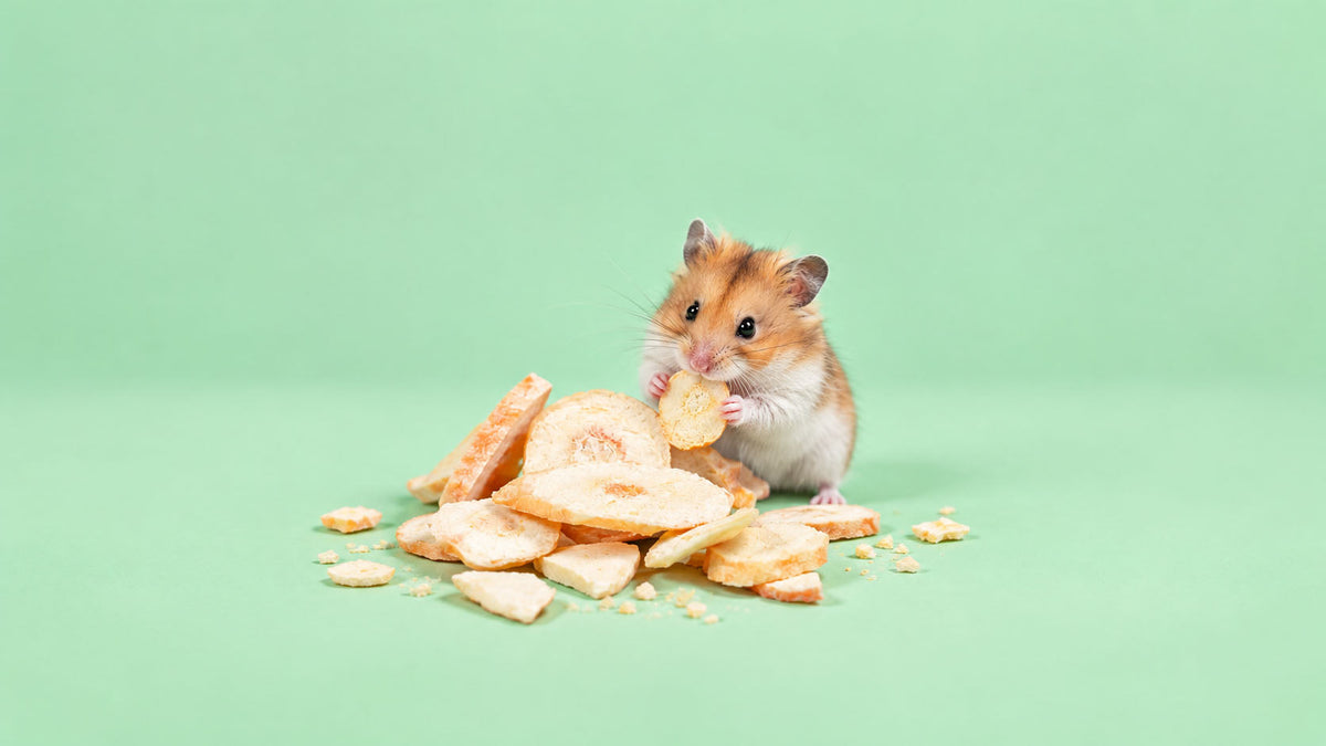 Snacks para Roedores